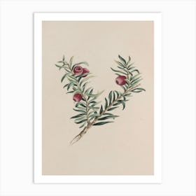 Cypress Art Print