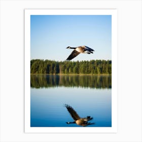 Canadian Goose Diving Into A Serene Scenic Lake Reflected In The Still Water Surrounded By Lush G Art Print