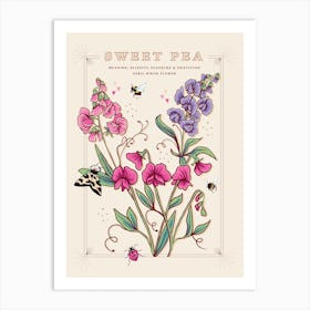 April Birth Flower Sweet Pea On Cream Art Print