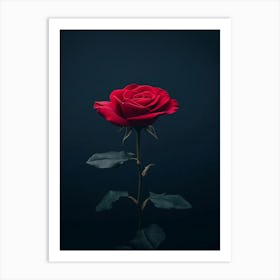 Dark Rose 133 Art Print