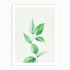 Spearmint Leaf Minimalist Watercolour 2 Art Print