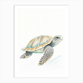 Flatback Sea Turtle (Natator Depressus), Sea Turtle Pencil Illustration 1 Art Print