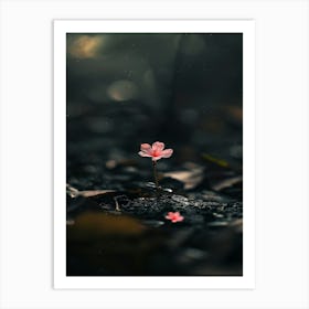 Flower In The Water 12 Art Print