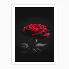 Black Rose Art Print