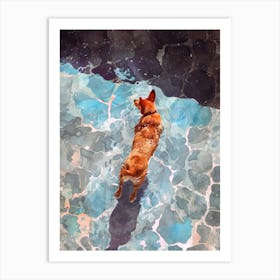 Dog In The Pool animal Dog's life Art Print