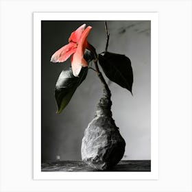 Flower In A Vase Art Print