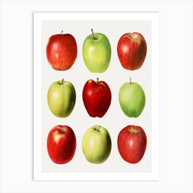 Red And Green Apples Art Print