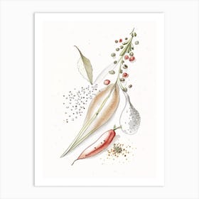 White Pepper Spices And Herbs Pencil Illustration 3 Art Print