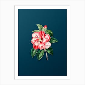 Vintage Japanese Camelia Botanical Art on Teal Blue n.0491 Art Print