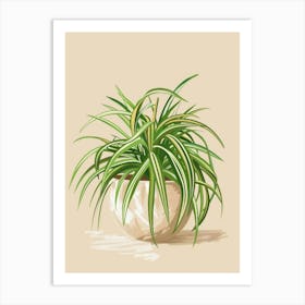 Spider Plant Minimalist Illustration 7 Art Print