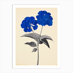 Blue Botanical Lantana 1 Art Print