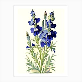 Larkspur Floral 1 Botanical Vintage Poster Flower Art Print