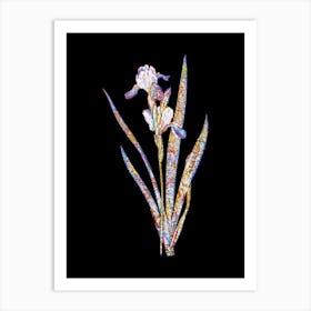 Stained Glass Tall Bearded Iris Mosaic Botanical Illustration on Black n.0080 Art Print