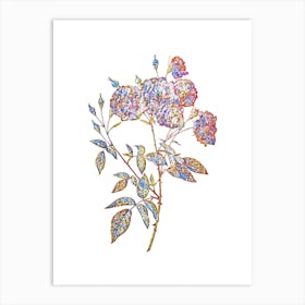 Stained Glass Ternaux Rose Bloom Mosaic Botanical Illustration on White Art Print