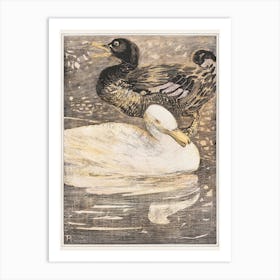 Two Ducks (1878–1907), Theo Van Hoytema Art Print