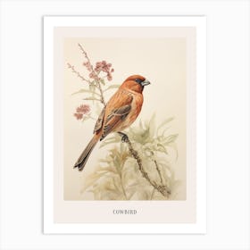 Vintage Bird Drawing Cowbird 3 Poster Art Print