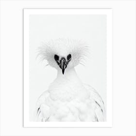 Vulture B&W Pencil Drawing 4 Bird Art Print