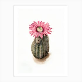 Cactus Flower 16 Art Print