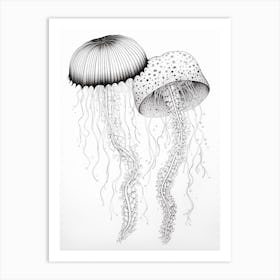 Irukandji Jellyfish Drawing 6 Art Print