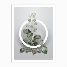 Vintage European Smoketree Minimalist Floral Geometric Circle on Soft Gray Art Print