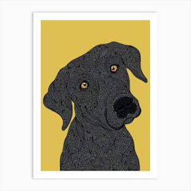 Rocco the Black Labrador Poster