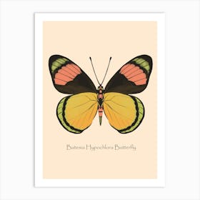 Tropical Butterfly Batesia Hypochlora Art Print