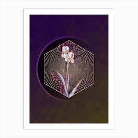 Abstract Tall Bearded Iris Mosaic Botanical Illustration n.0096 Art Print