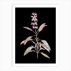 Stained Glass Sage Plant Mosaic Botanical Illustration on Black n.0305 Art Print