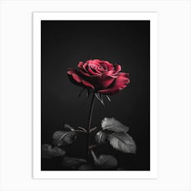 Black Rose 23 Art Print