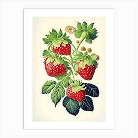 Alpine Strawberries, Plant, Vintage Botanical Art Print