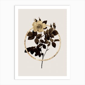 Gold Ring Twin Flowered White Rose Glitter Botanical Illustration n.0308 Art Print