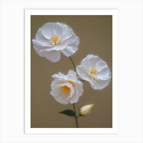 white anemone flowers Art Print