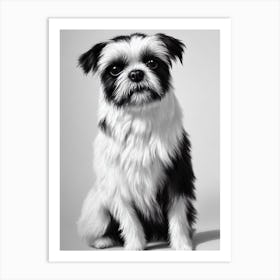 Affenpinscher B&W Pencil Dog Art Print