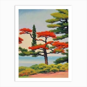 Japanese Red Pine Tree Watercolour Art Print