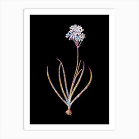 Stained Glass Arabian Starflower Mosaic Botanical Illustration on Black n.0227 Art Print