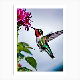 Male Ruby Throated Hummingbird-Reimagined Art Print