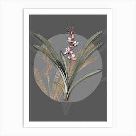 Vintage Botanical Boat Orchid on Circle Gray on Gray n.0086 Art Print