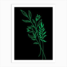 Green Leaves On Black Background Art Print