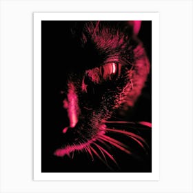 Cat In The Dark 1 Art Print