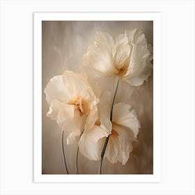 Boho Dried Flowers Tulip 5 Art Print