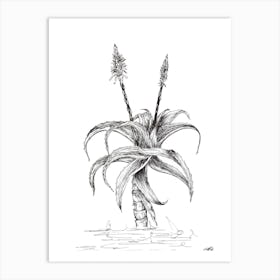 Black and White Aloe with Two Flowers Art Print