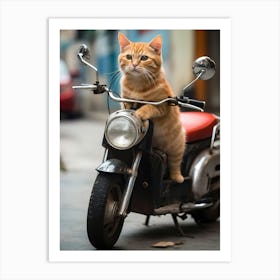 Cat On A Motorcycle Art Print