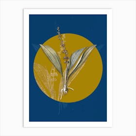 Vintage Botanical Peliosanthes Teta on Circle Yellow on Blue n.0160 Art Print