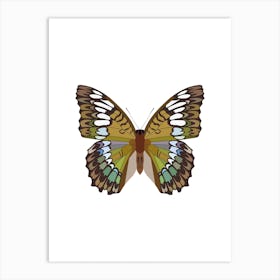 Riodinidae Butterfly Art Print