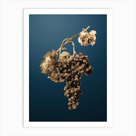 Gold Botanical Grape Spanna on Dusk Blue n.0324 Art Print
