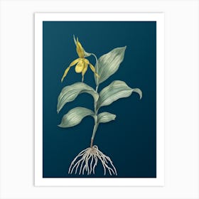 Vintage Yellow Lady's Slipper Orchid Botanical Art on Teal Blue n.0742 Art Print
