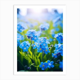 Forget Me Not In Grasslands (1) Art Print