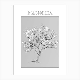 Magnolia Tree Minimalistic Drawing 3 Poster Art Print