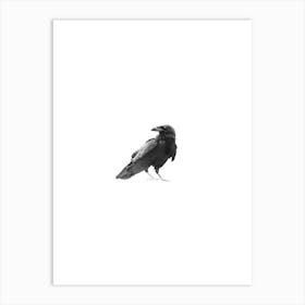 Raven Portrait Black and White Minimalist Boho Art Print Art Print