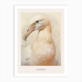 Vintage Bird Drawing Albatross 3 Poster Art Print